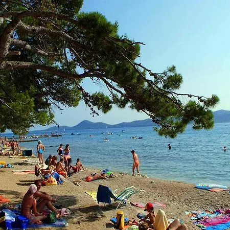 Pine And Lavander * Biograd Na Moru